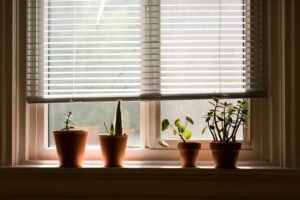 Roller Blinds